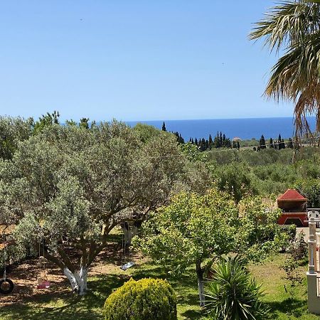Lemon Tree Apartments A D Argostoli  Eksteriør bilde