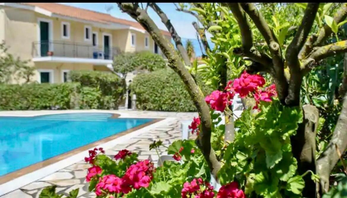 Lemon Tree Apartments A D Argostoli  Eksteriør bilde